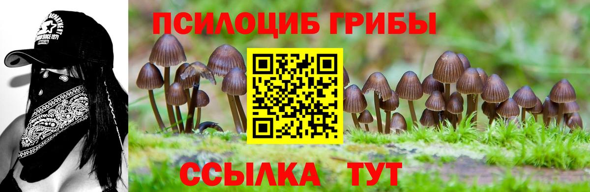 Галлюциногенные грибы прущие грибы  Вход с VPN  Каспийск 